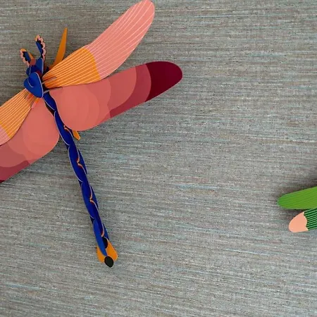 Caldas W/ Ac & Fast Net 卡尔达斯达·赖尼亚