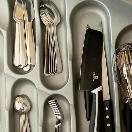 Caldas W/ Ac & Fast Net 公寓 卡尔达斯达·赖尼亚