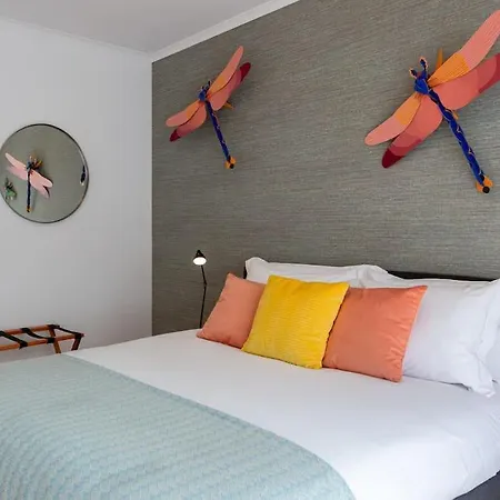 Caldas W/ Ac & Fast Net 公寓